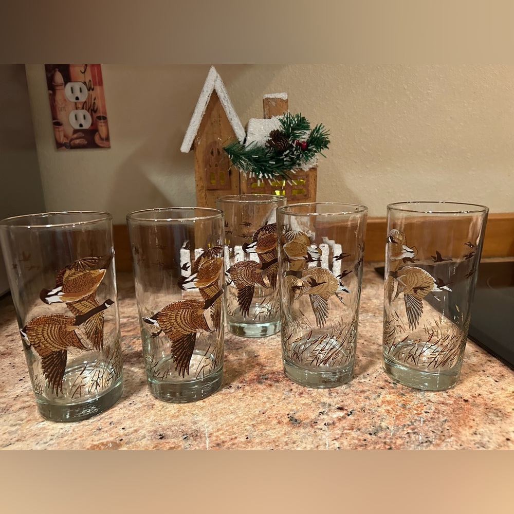 Set of 5  Libbey Glass “Flight of Geese” 12 oz Highball Tumblers No flaws Vtg.